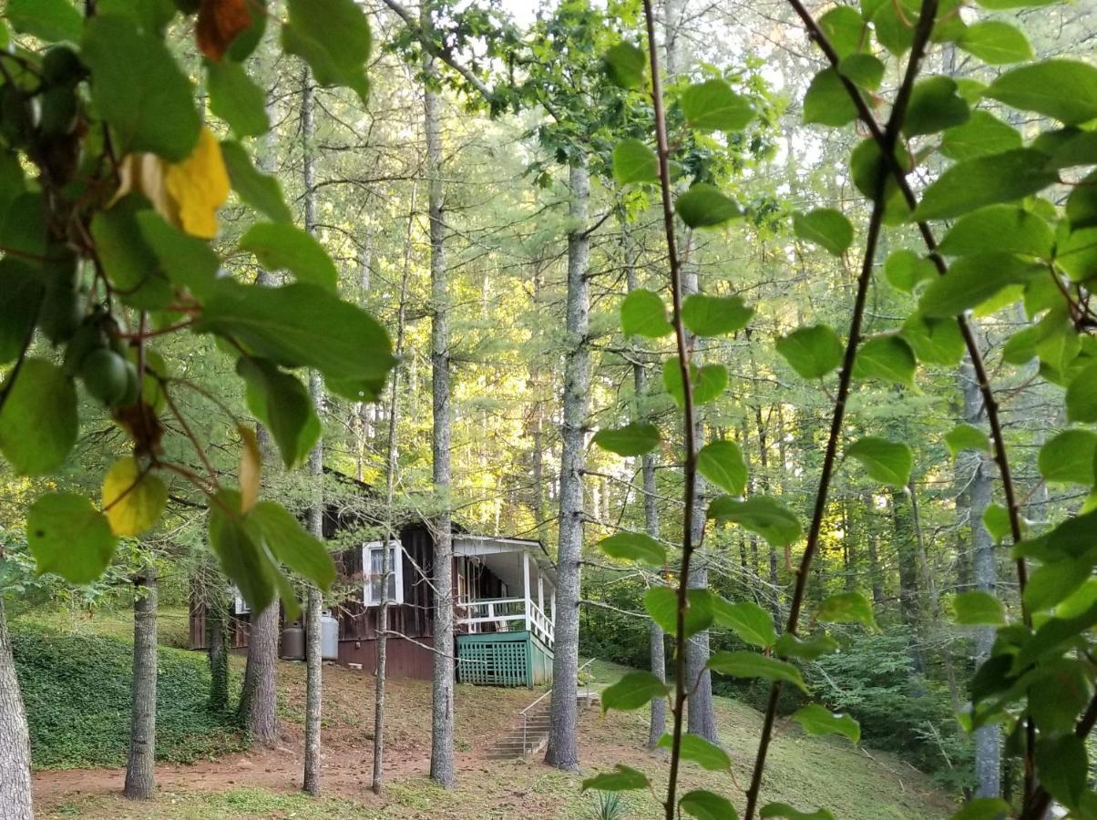 The Cabins At Healing Springs Crumpler Εξωτερικό φωτογραφία
