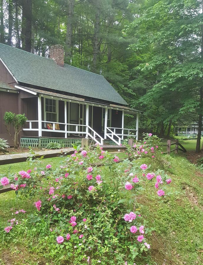 The Cabins At Healing Springs Crumpler Εξωτερικό φωτογραφία